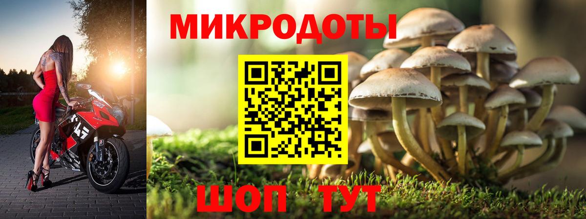 Псилоцибиновые грибы мицелий  Вход с VPN  Галлюциногенные грибы GOLDEN TEACHER  Когалым 